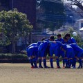 第34回神奈川県社会人選手権2回戦